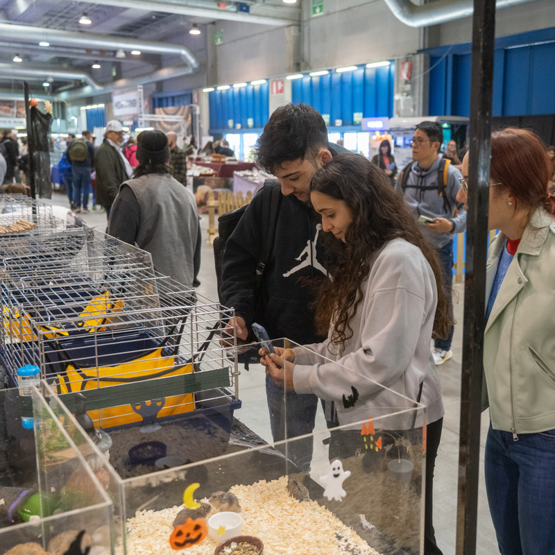 fiera animali pordenone